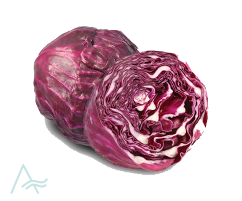 RED CABBAGE 